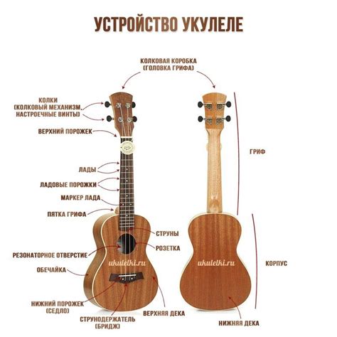 Как определить лады на укулеле: