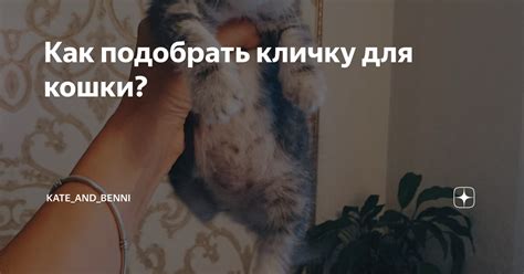 Как подобрать кличку, отображающую характер питомца