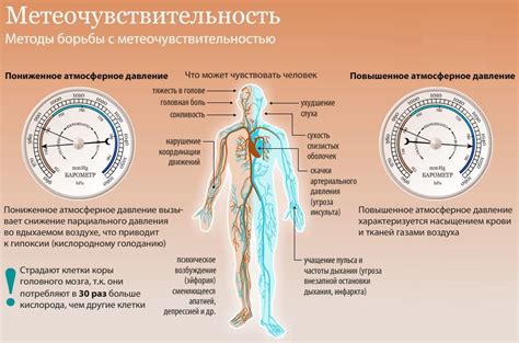 Как это происходит и как влияет на организм