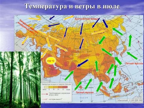 Климатические особенности и изменения в природе