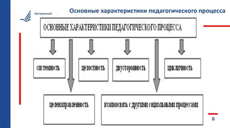 Ключевые аспекты целостности общества