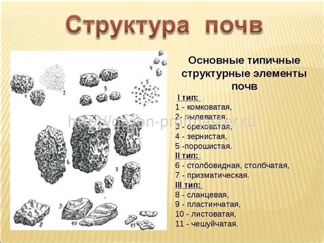 Крупицы карбонатной почвы: структура и состав