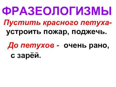 Куриный ум: происхождение и значение выражения