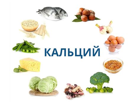 Лучшие источники жидкой пищи