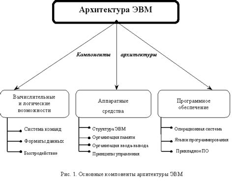 Мактрахер: основные понятия