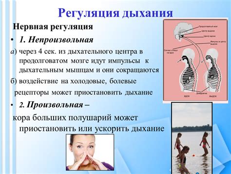 Медицинская интерпретация и связь с нервной системой