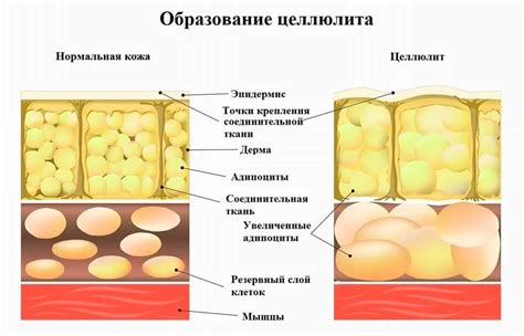 Медицинские причины появления "мокрого вилли"