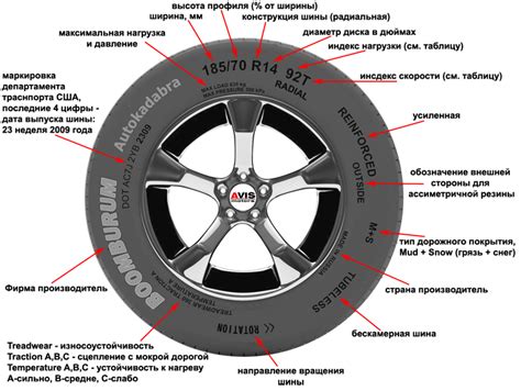 Модель шины: понятие и значение