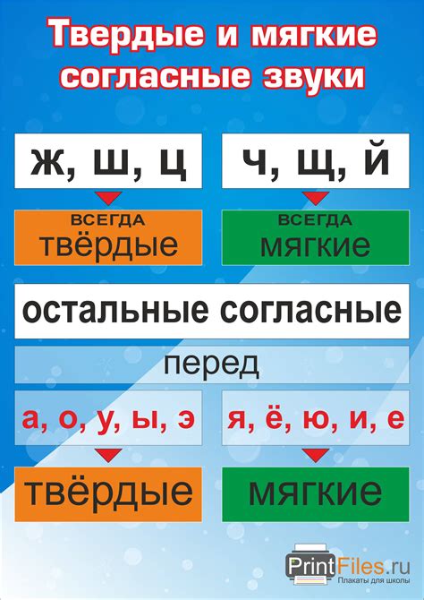 Мягкие согласные: как правильно подчеркнуть буквы