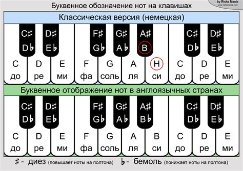 Названия нот на латинском языке: расшифровка