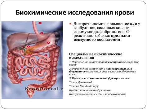 Нарушение состояния желудочно-кишечного тракта