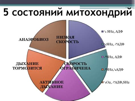 Нарушение энергетического равновесия