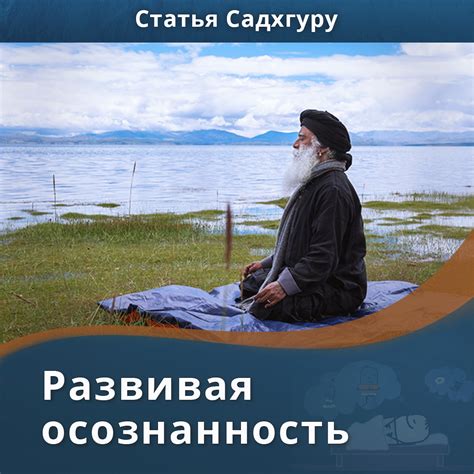 На все 100 процентов: осознанность и готовность