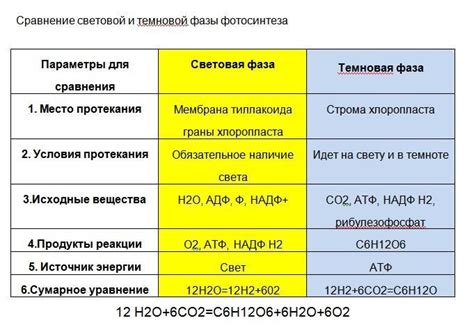 Необходимость фазы гонки