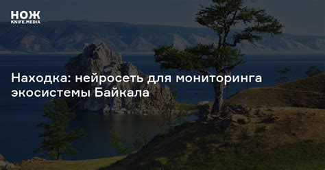 Неоценимая важность Байкала для экосистемы