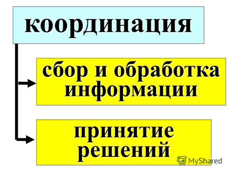 Нервный слой: обработка информации и координация