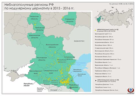 Нодулярный железоподобный слой: что это такое и каковы его основные особенности