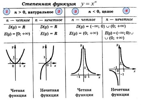 Определение и основная функция