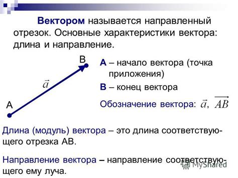 Определение и основные характеристики вектора