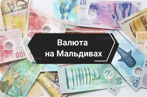 Определение и особенности валюты номинала sur