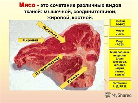 Определение и предназначение промышленного мяса