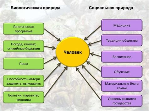 Определение и сущность альт человека