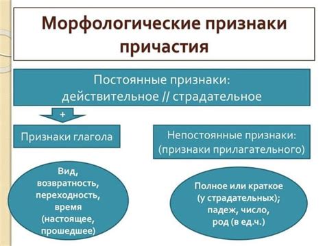 Определение одиночного причастия