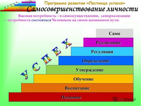 Определение понятия "лестница успеха"