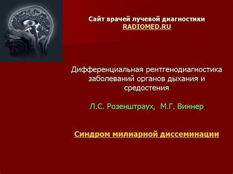 Определение понятия "навести шмон"