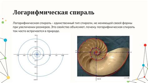 Определение понятия "очаровашка": применение в разных сферах