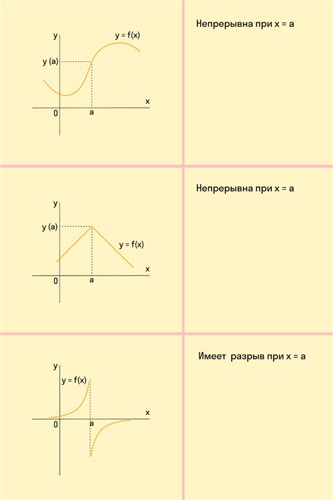 Определение растянутого и сжатого графика функции