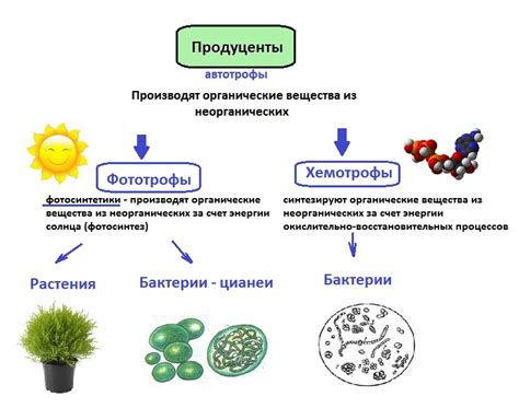 Основные компоненты экосистемы МТС и их взаимосвязь