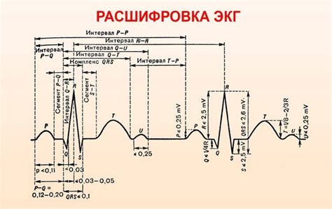 Основные отличия между ЭКГ с существенной и без существенной динамики