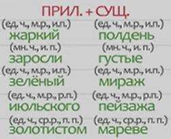 Основные правила согласования прилагательных с существительными в латинском языке