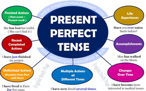 Основные характеристики present perfect tense