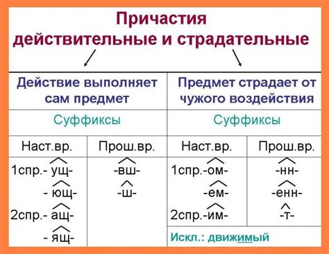 Особенности окончания причастий