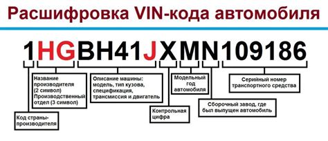 Отсутствие номера шасси: причины и значение