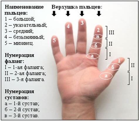 Пальцы между пальцами: культурные и региональные различия