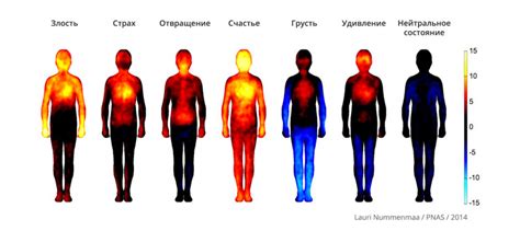 Переживания