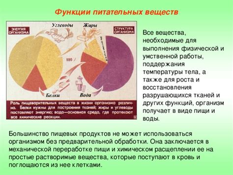 Питательные вещества, необходимые для эффективной физической активности