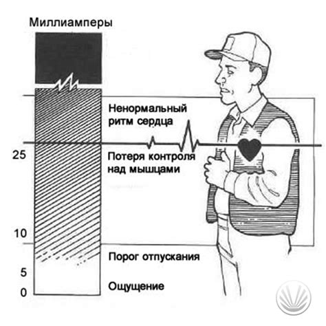 Поверья о помеле и его воздействии на человека