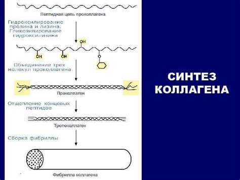 Повышенное формирование коллагена