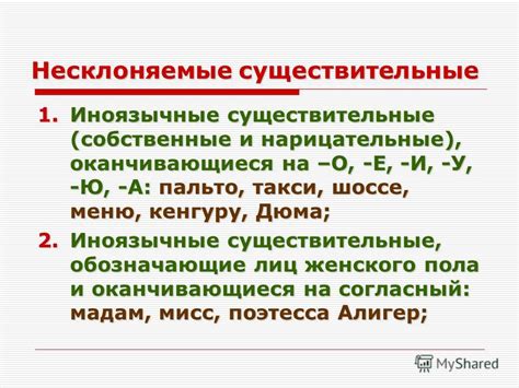 Популярные иноязычные существительные в различных отраслях