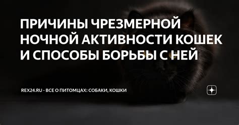 Последствия эксплуатации животных и способы борьбы с ней