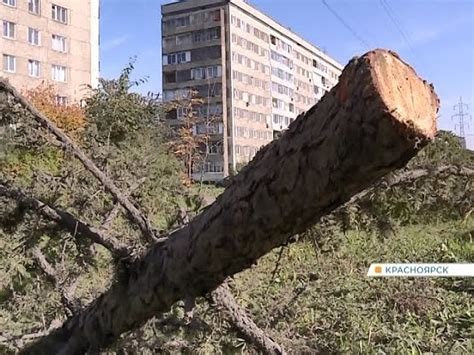 Похабное отношение: причины