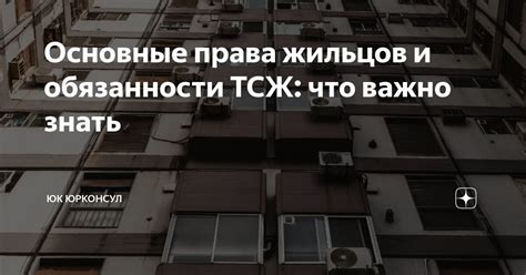 Права и обязанности жильцов