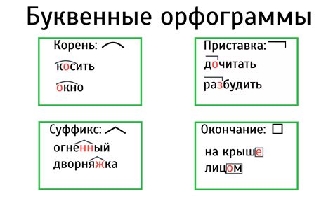 Правила использования орфограмм в русском языке