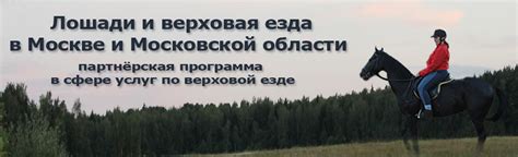 Применение понятия "тухлодыр" в среде конников и фермеров