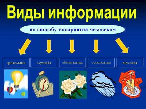 Примеры важности точности информации в разных областях