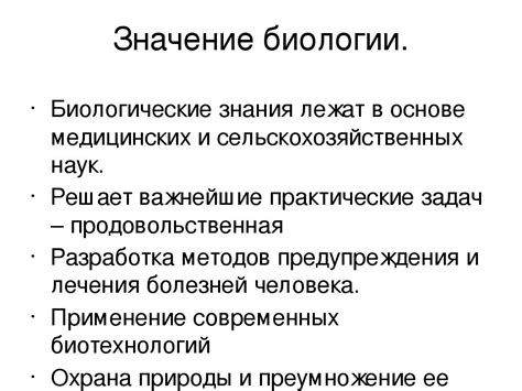 Примеры использования аналогий в повседневной жизни